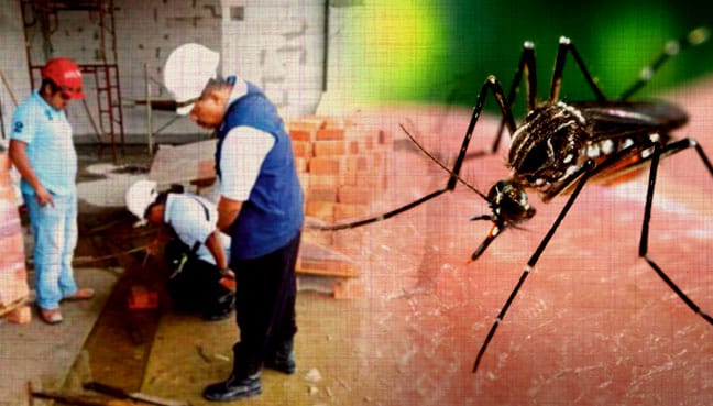 Sharp hike in dengue cases among construction workers