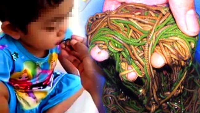 Viral video ibu suap anak makan cacing