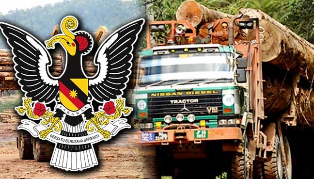 Illegal logging cases in Sarawak shoot up this year