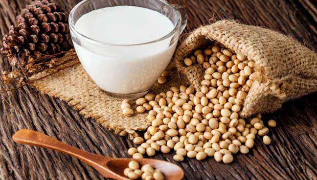 Soy is the best plant-based alternative says new study