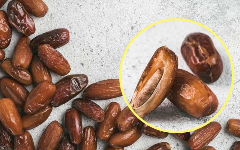 Jangan buang biji kurma, ketahui manfaatnya