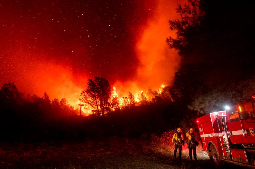 World is failing to meet all targets to save nature, UN warns
