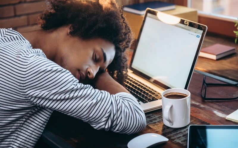 Indian start-up gives staff daily 30-minute cat naps