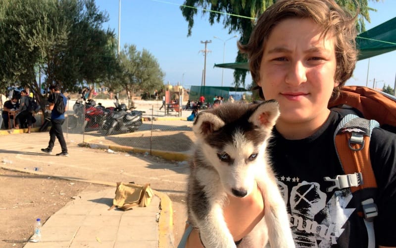 Study reveals impact of forced separation between humans and pets