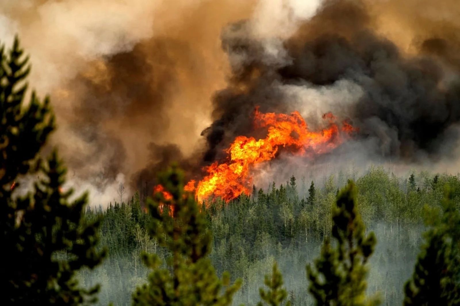 canada_fire_250724_ap
