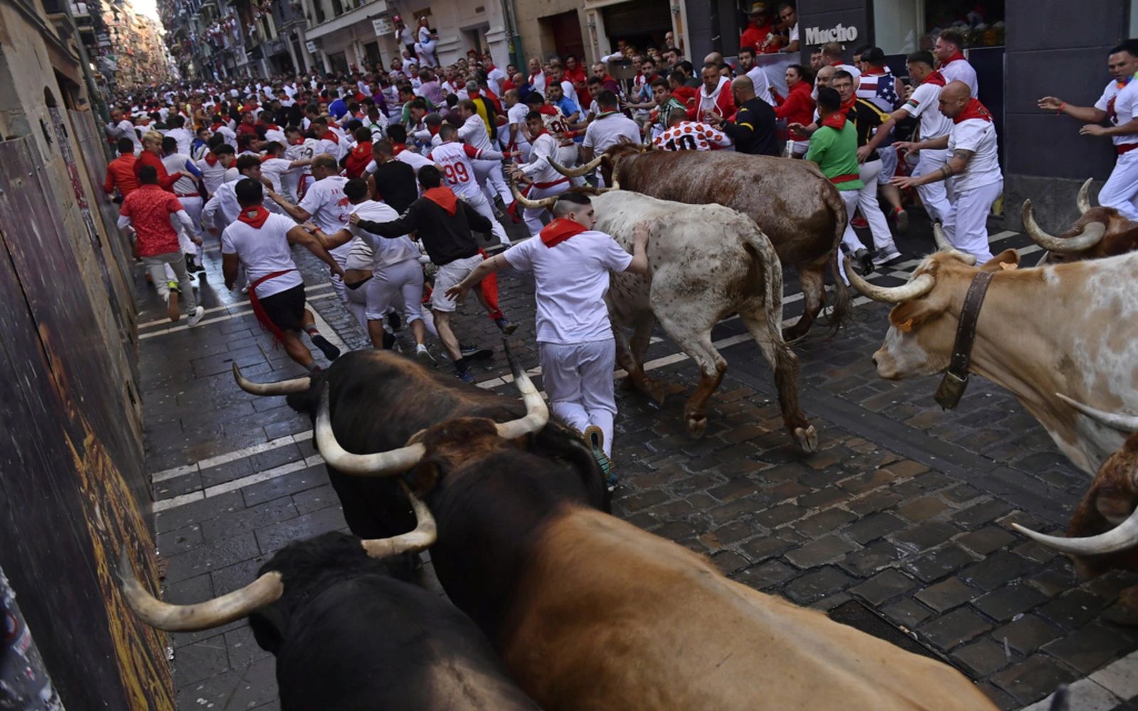 bull running Spain