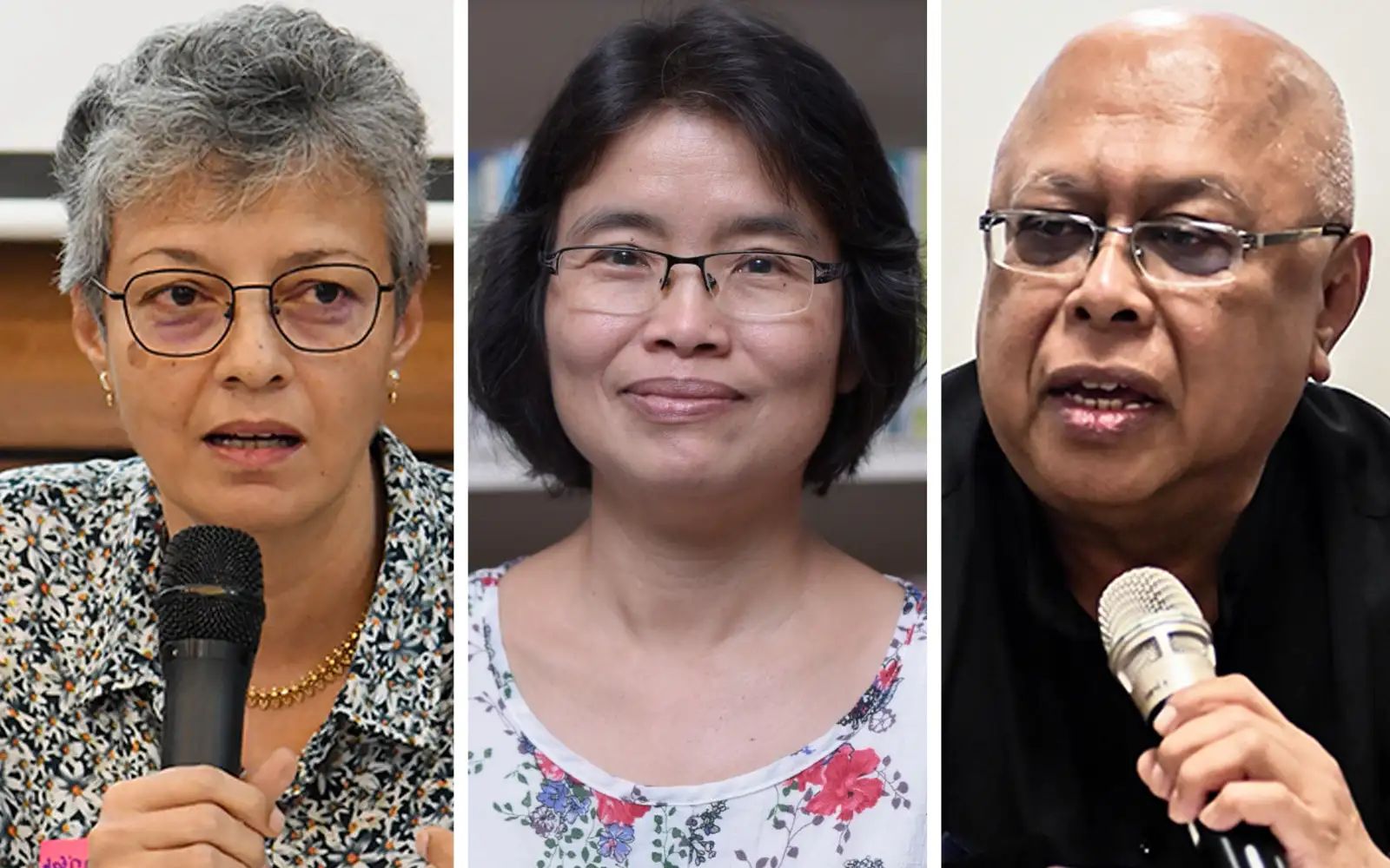 Lessons in history, constitution will help foster unity, say academics