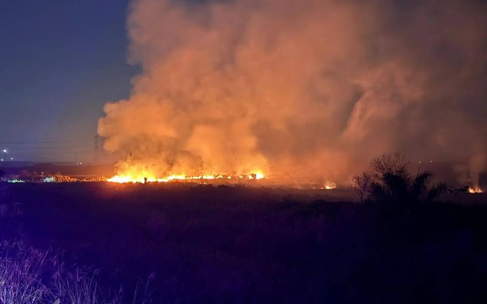 Operasi padam kebakaran hutan Kuala Langat masuk hari kedua