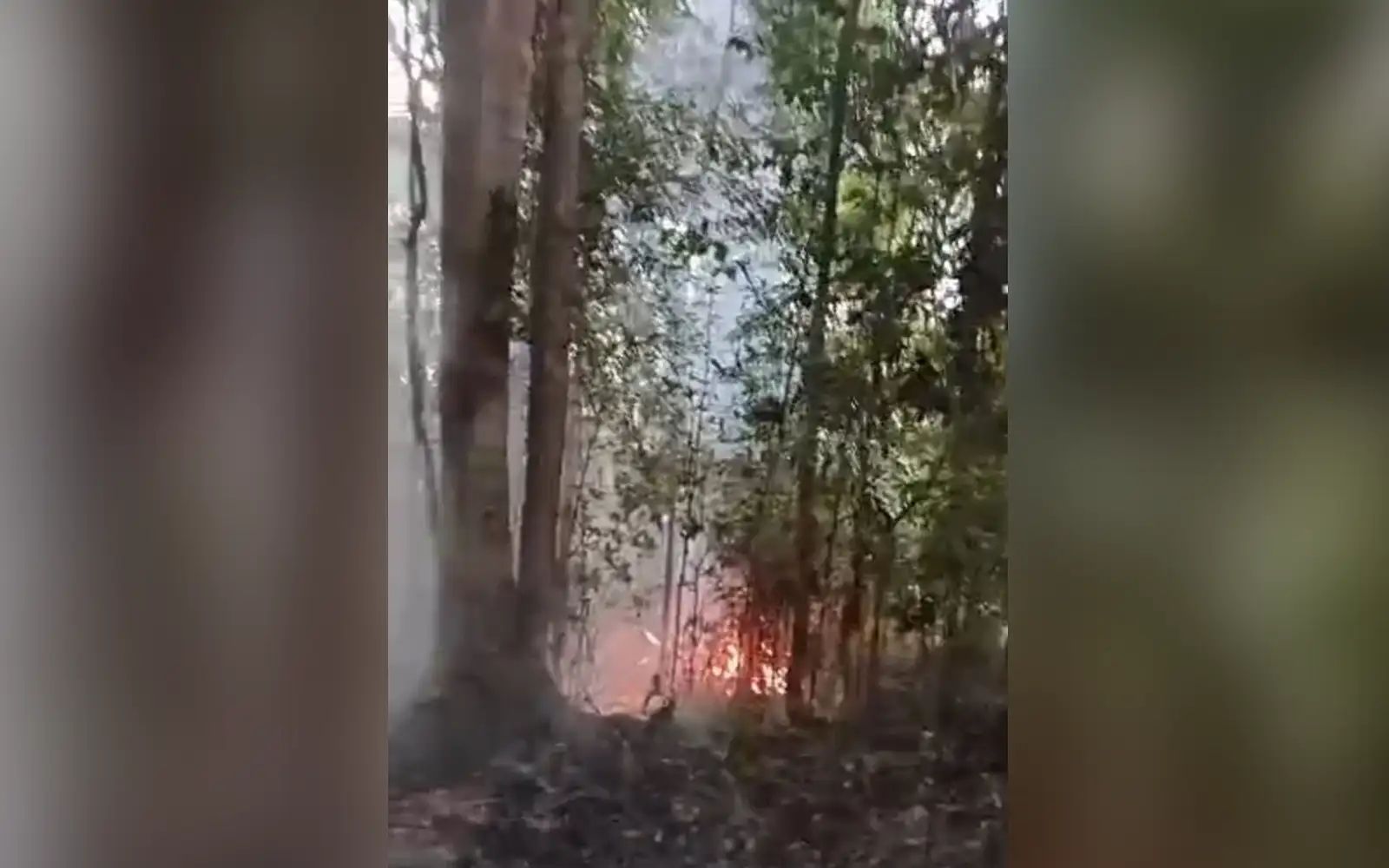 Wildfire breaks out on hillside behind Tanjung Bungah condo