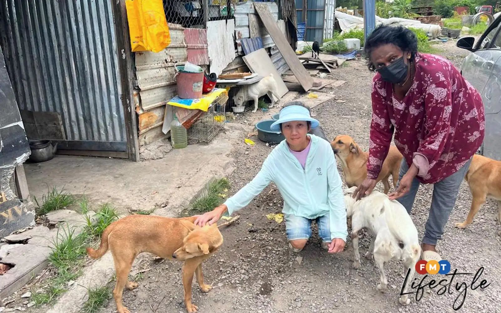 Auntie Janaki urgently needs help to save 50 street dogs in Jinjang