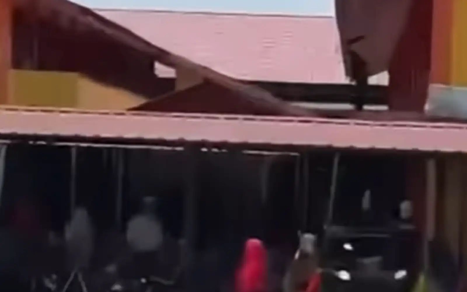 Form 2 student saved from fall in hysteria episode at Bachok school facebook pic 15426