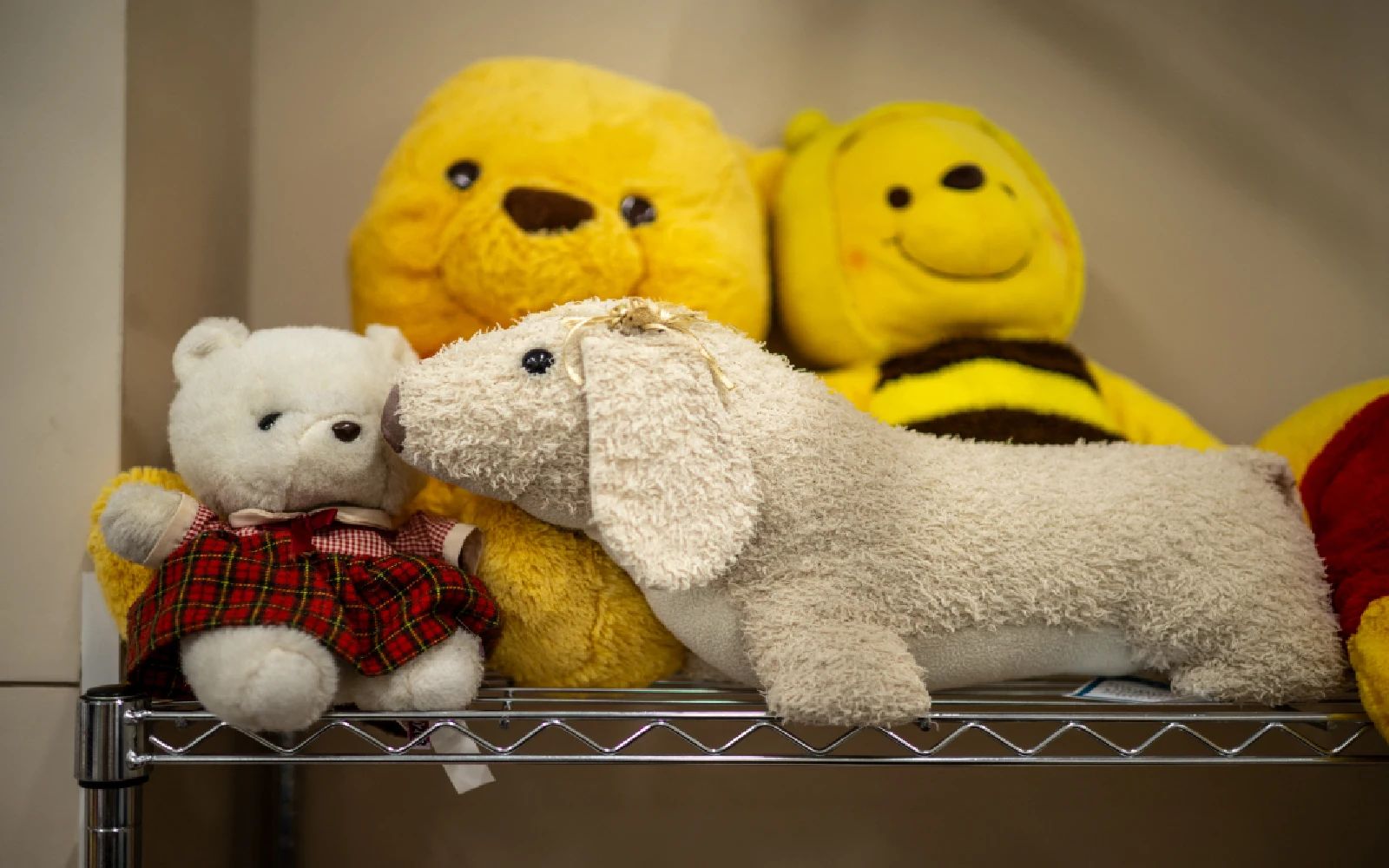 A worn-out Pikachu plushie, tired teddy bear or stained stuffed animal can all get a new lease on life at a Japanese laundry service making beloved toys squeaky clean again.