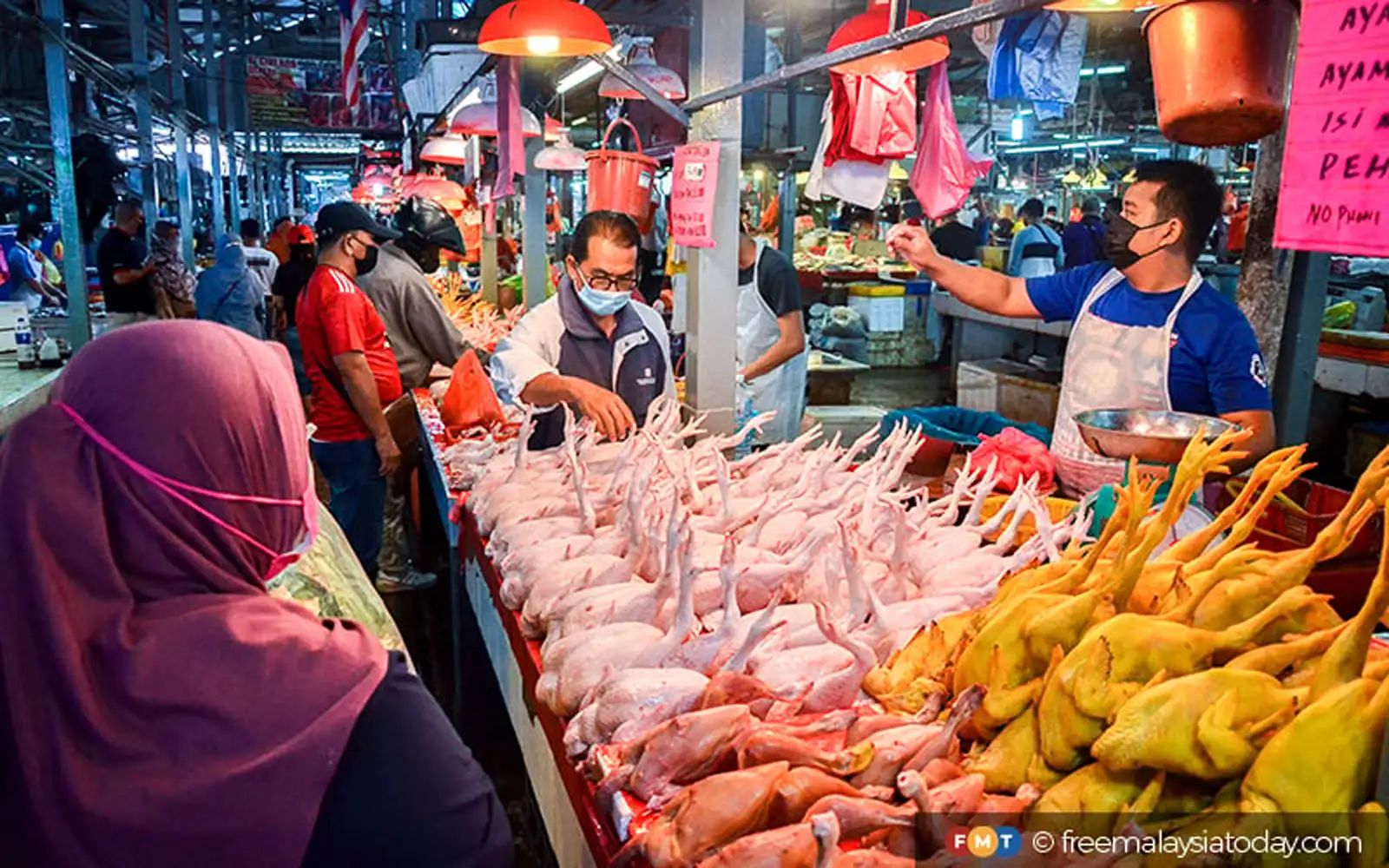 chicken ayam market pasar