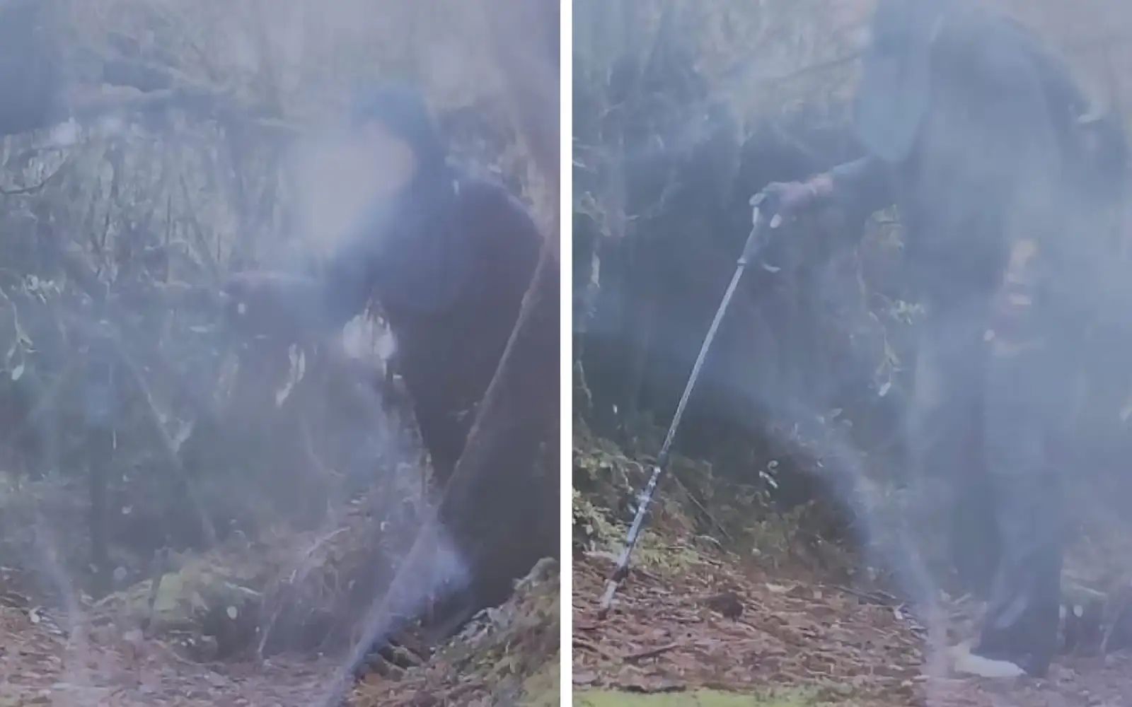 Perak kaji ketat SOP aktiviti pendakian, masuk hutan