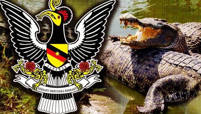 Sarawak crocodiles will continue to be protected