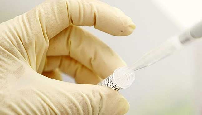 US scientists take step toward creating artificial life