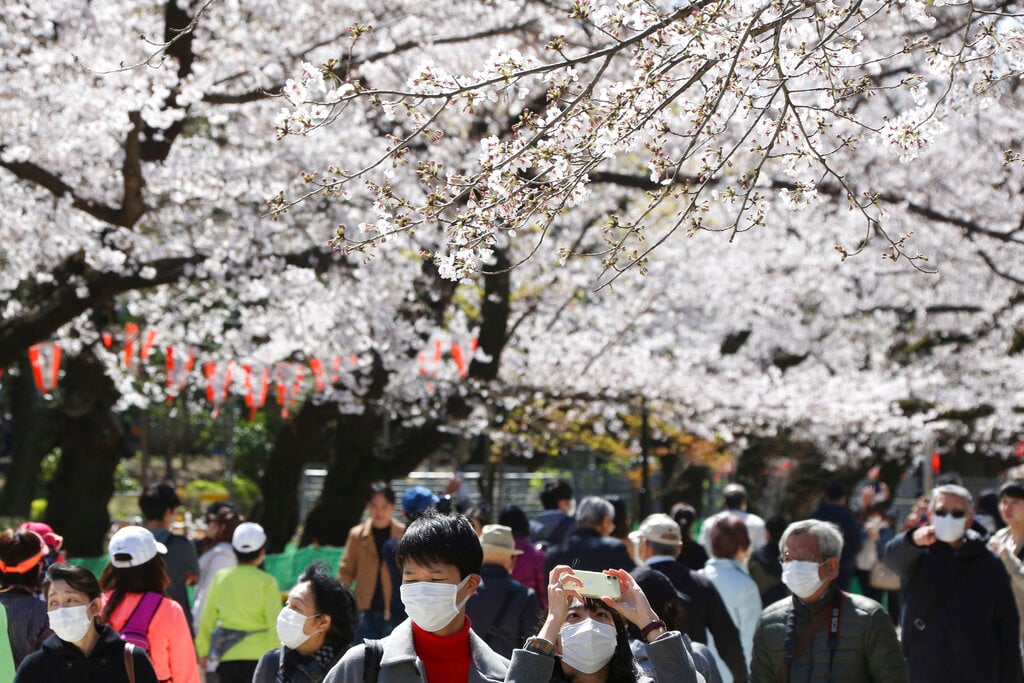 Experts warn Japanese growing complacent over virus risk