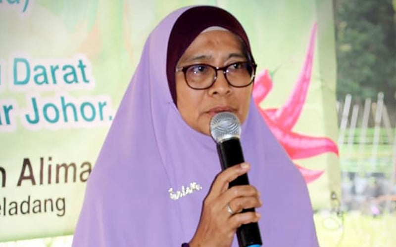 Amanah rep Nor Hayati Bachok tests positive for Covid-19