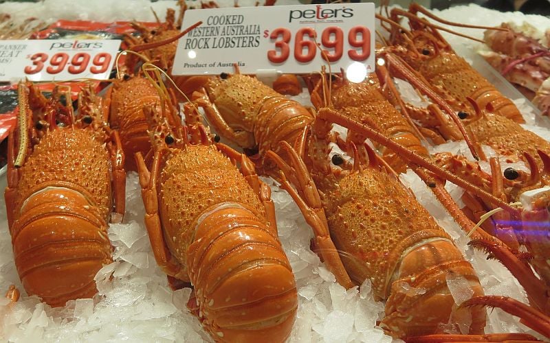 Australia calls for clarity from China over embargo reports