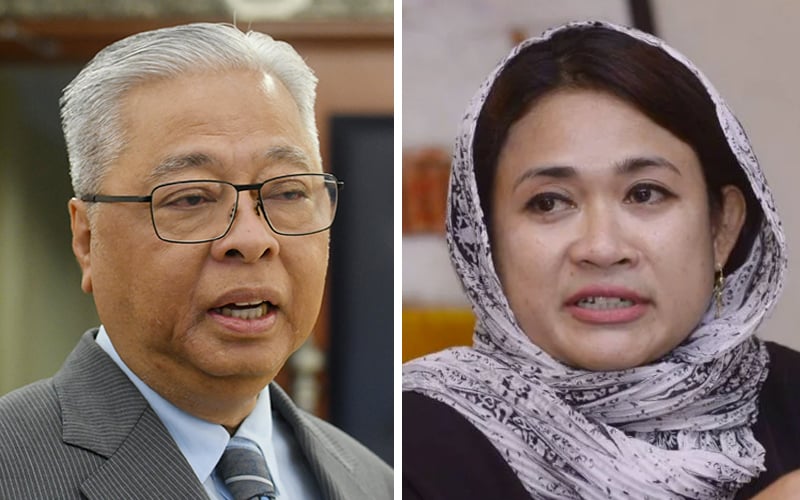 I was defamed 13 times, says Ismail in suit against ex-PPBM member