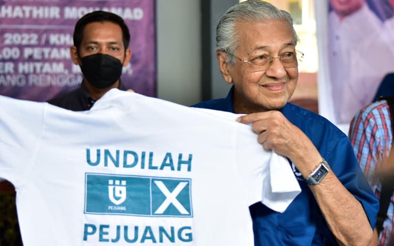 Pejuang faces wipeout without forming alliances, say analysts