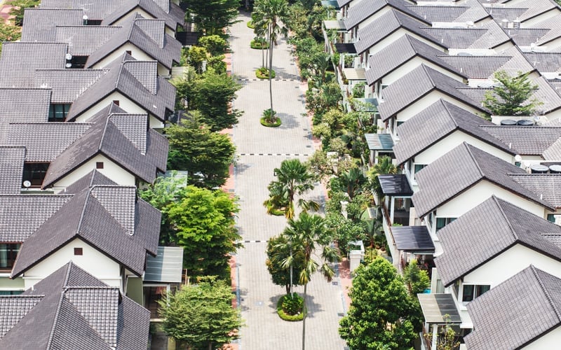 What is green gentrification?