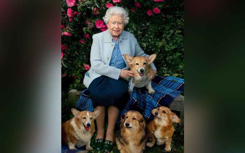 Dogs save the queen: the monarch and her corgis