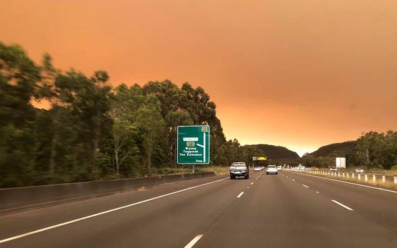 Gamuda’s JV bags RM3.1bil highway job in Australia