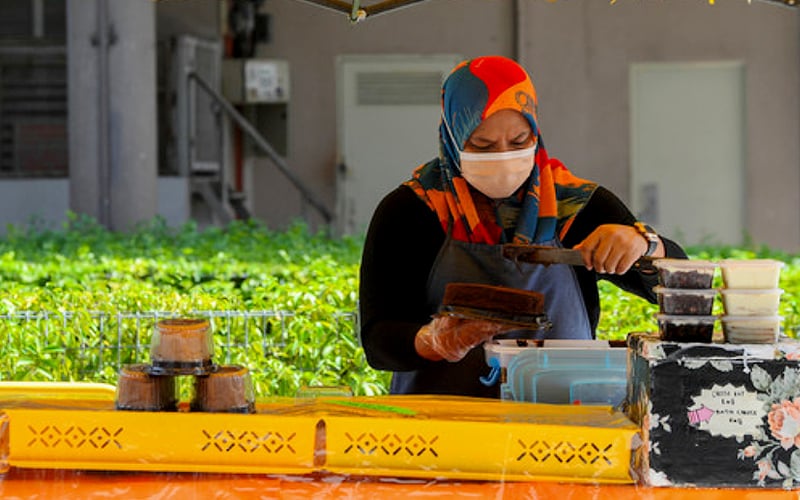 Pemakaian pelitup muka bagi pengendali makanan di Selangor bermula 1 Jan