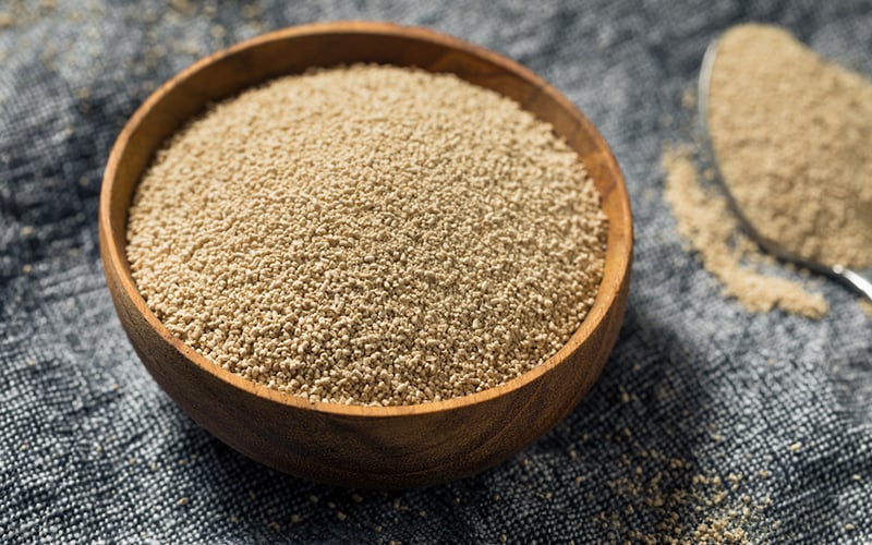 How yeast will play a key role in the foods of the future