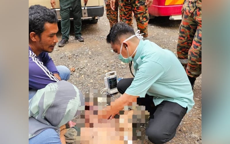 Lelaki maut disengat tebuan di Johor