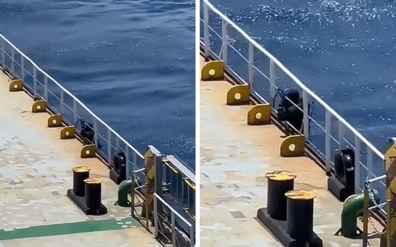 Lanun rampas kapal kargo Bangladesh, 23 kru jadi tebusan