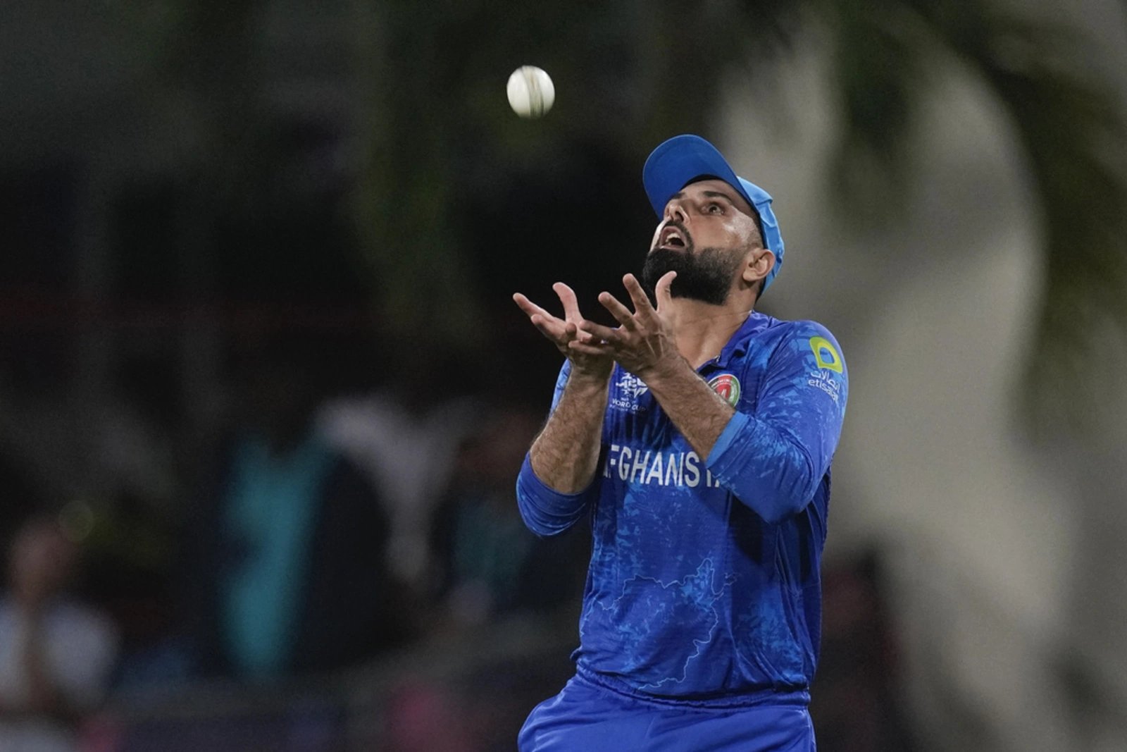 Afghanistan beat Bangladesh to reach semis