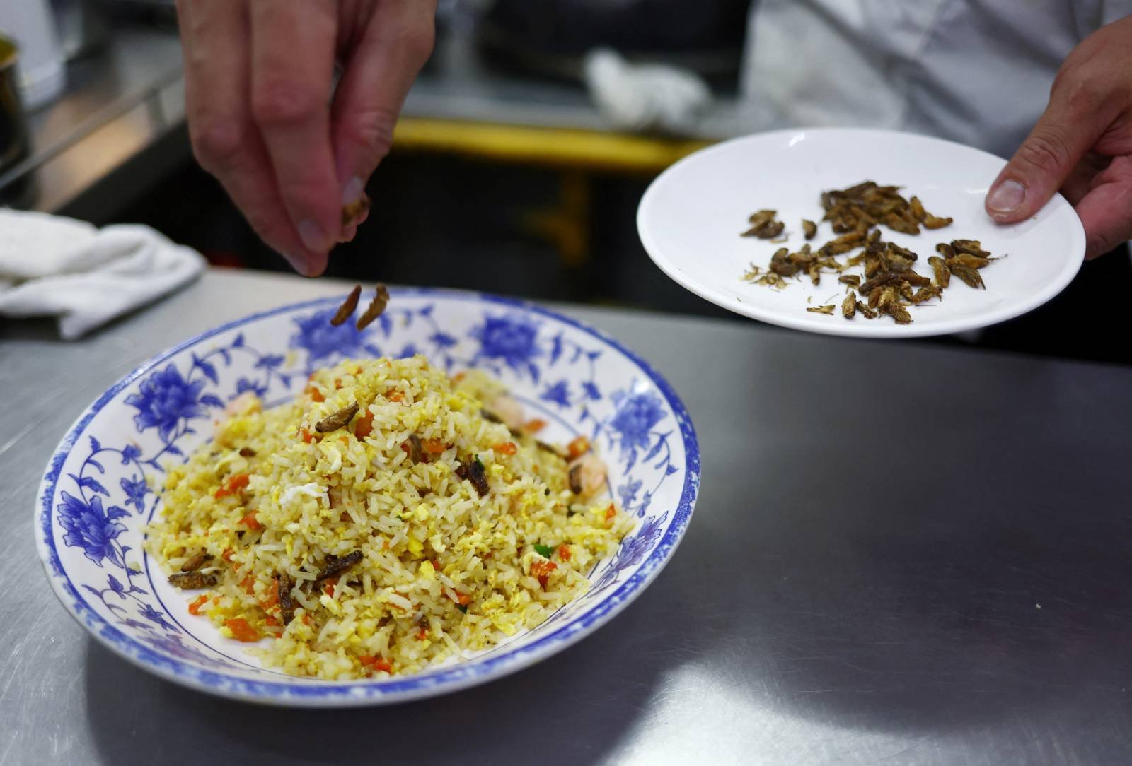 Singapore approves crickets, edible insects amid food security push
