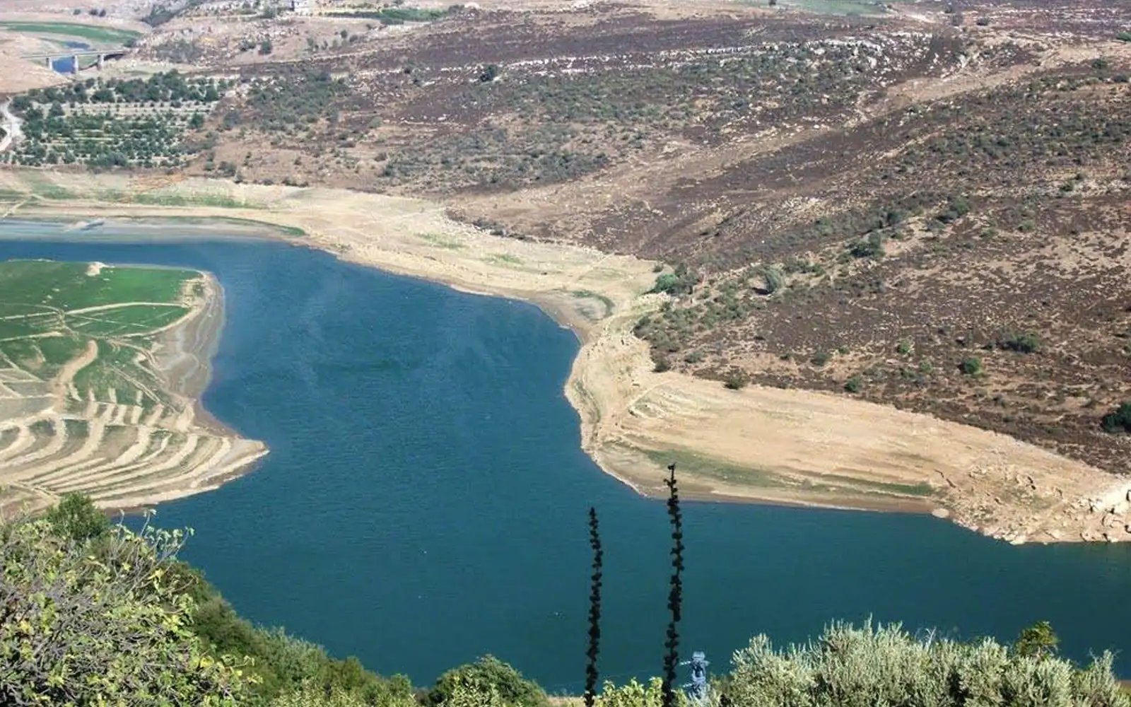 Israel applies diplomatic and military pressure to disarm Hezbollah