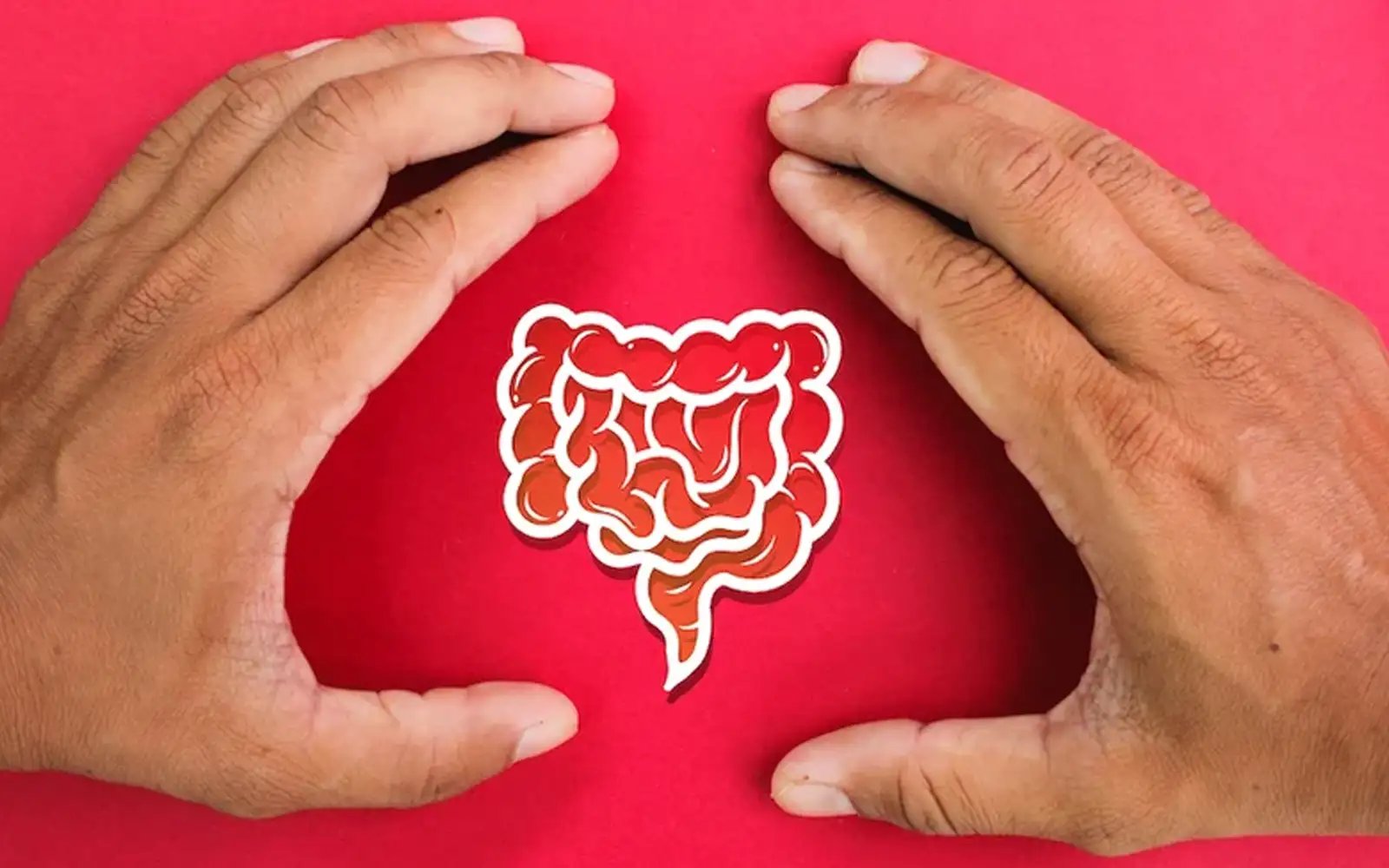 Food for thought: how our gut affects our mood and mind