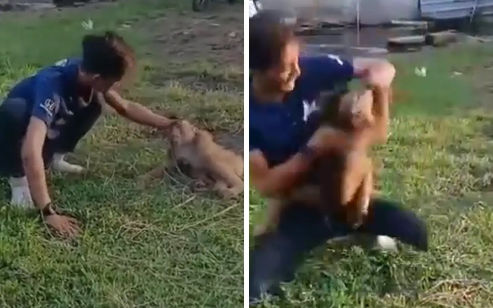 Animal rights group demands firm action against monkey abuser