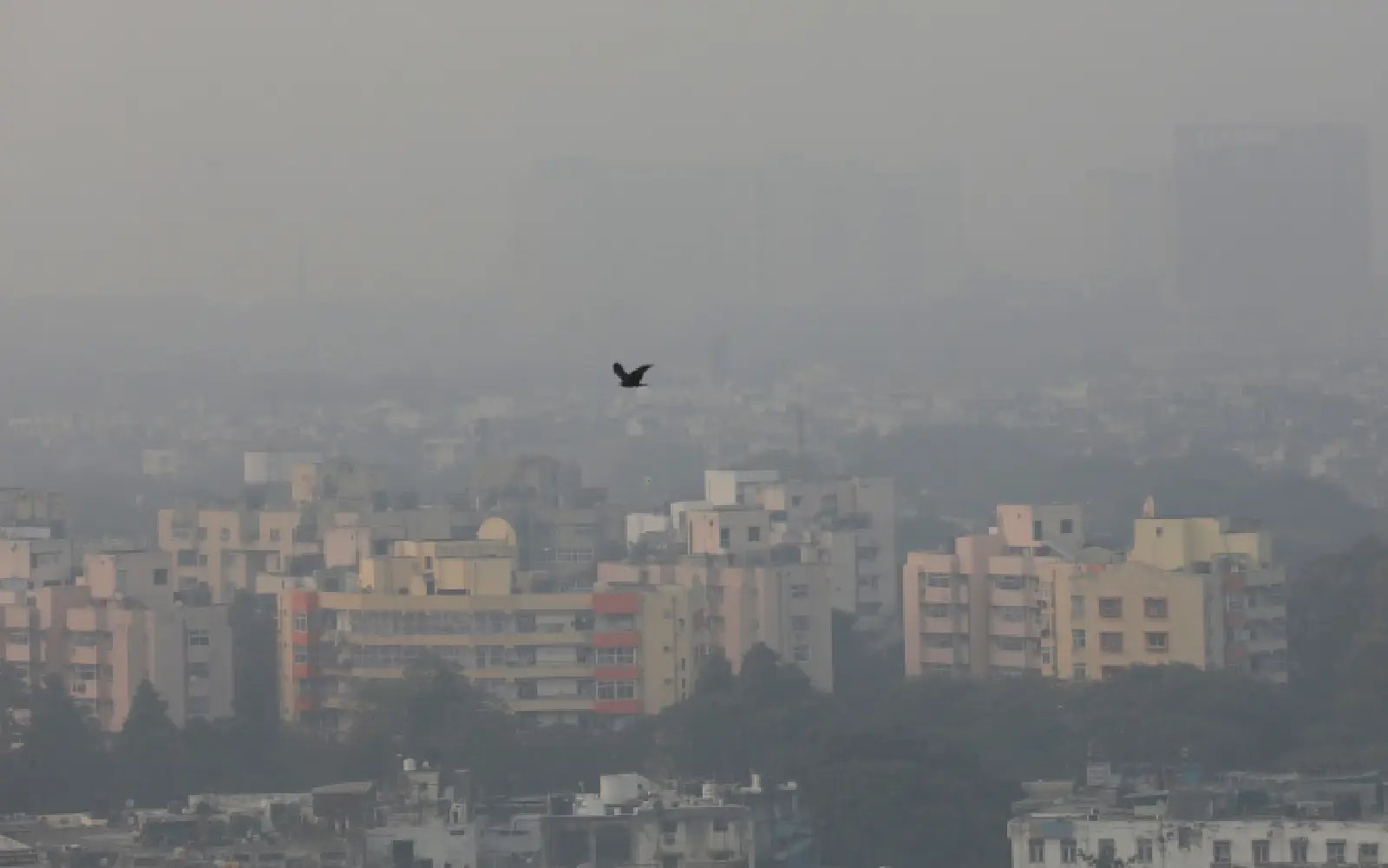 India tightens pollution curbs as Delhi’s air quality worsens