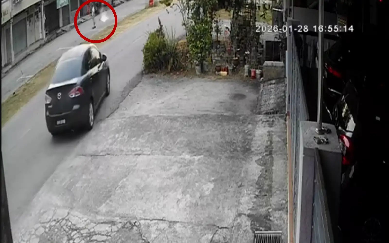 Man held after stray dog killed in suspected firecracker blast