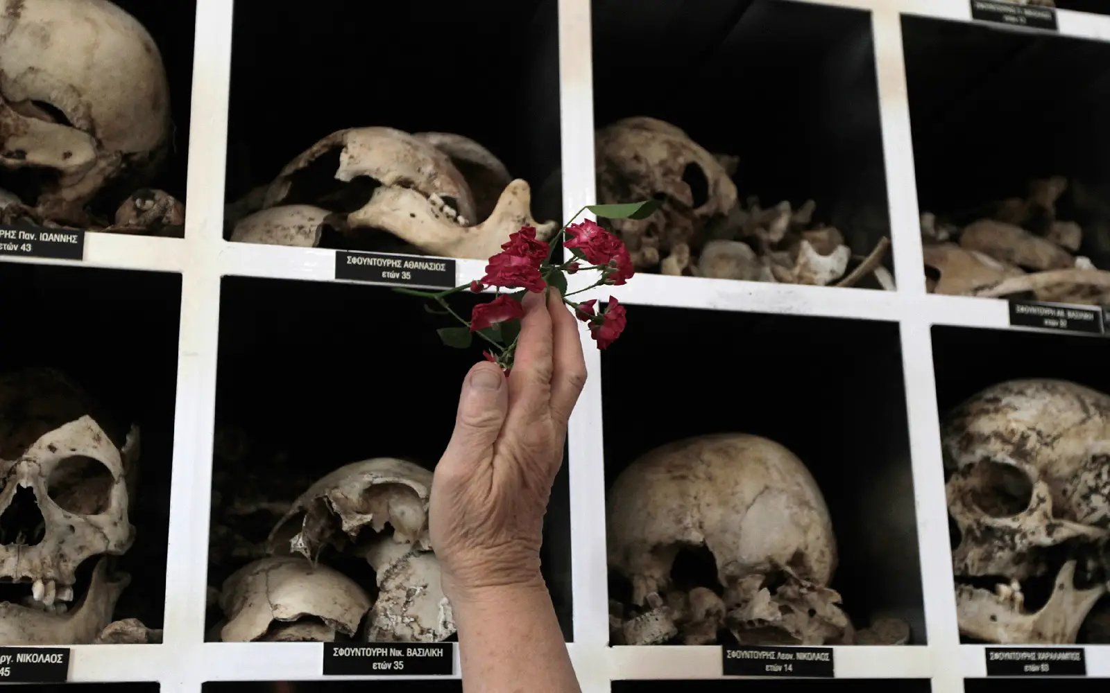 Greece experts to examine Nazi atrocity photos find