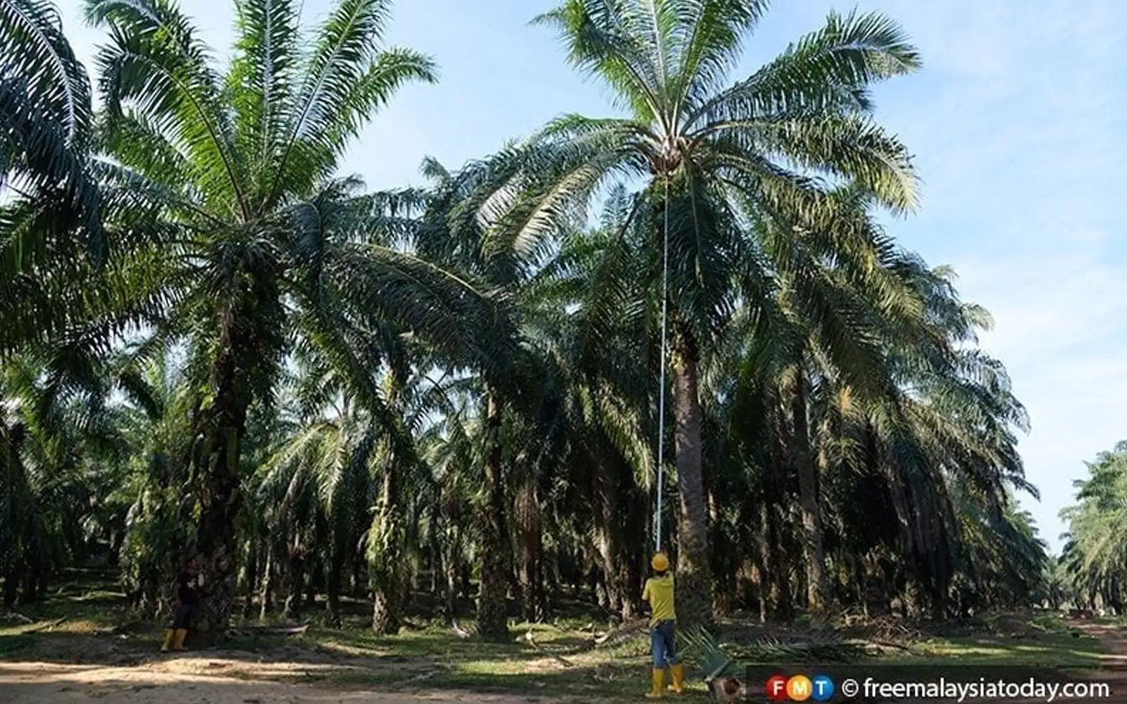 Terengganu-Felda land dispute near end, says Zahid