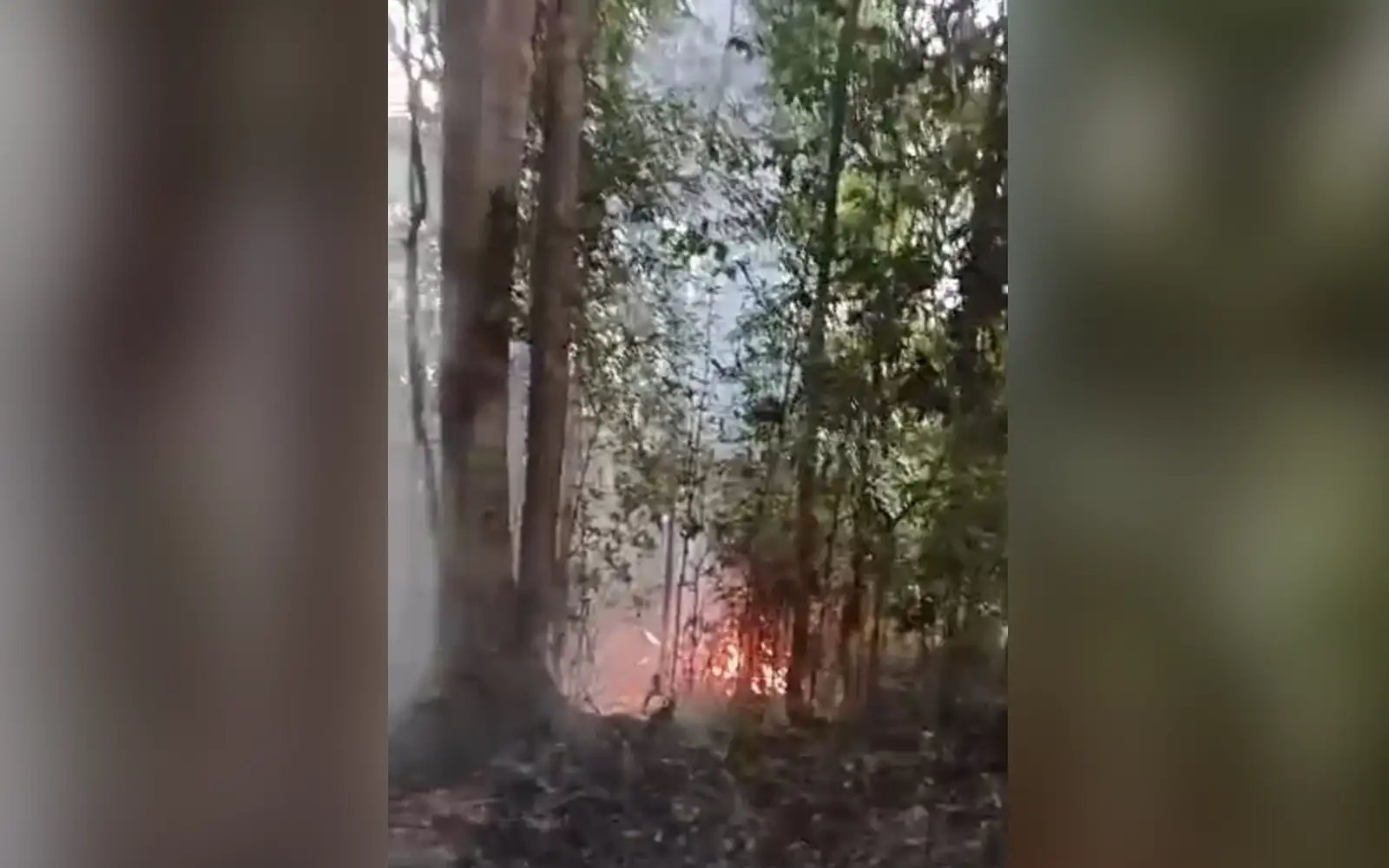 Wildfire breaks out on hillside behind Tanjung Bungah condo