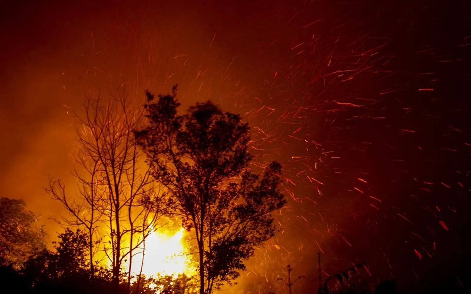 Pahang records 87 open fires in a week