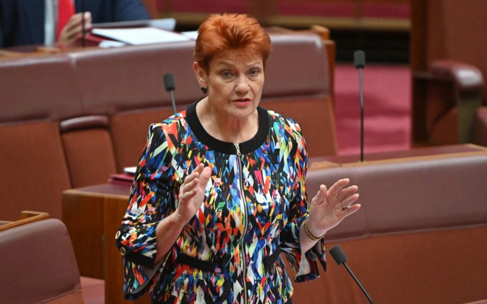 Australian far-right senator censured over ‘inflammatory’ Muslim comments
