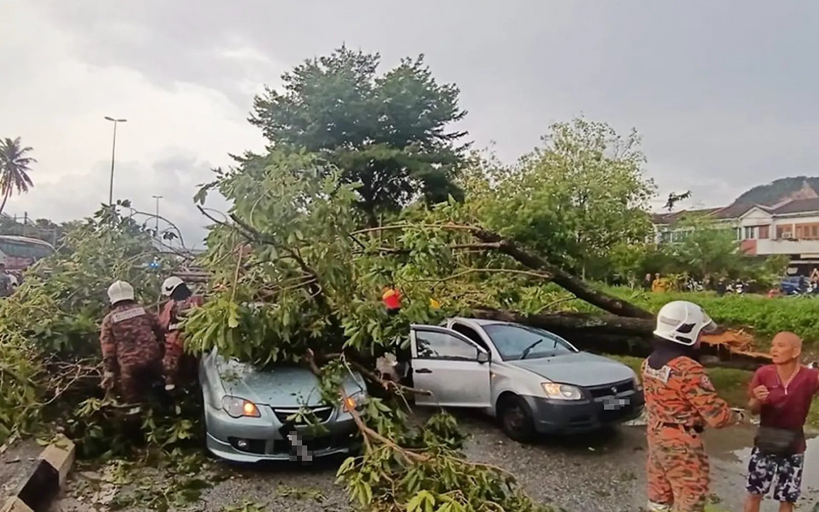 6 rescued after falling trees crush 3 cars