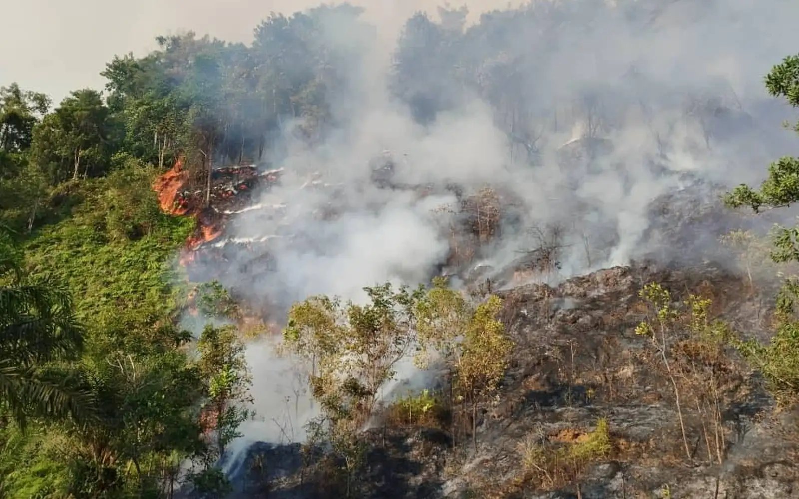 17 areas record moderate API readings in Sarawak