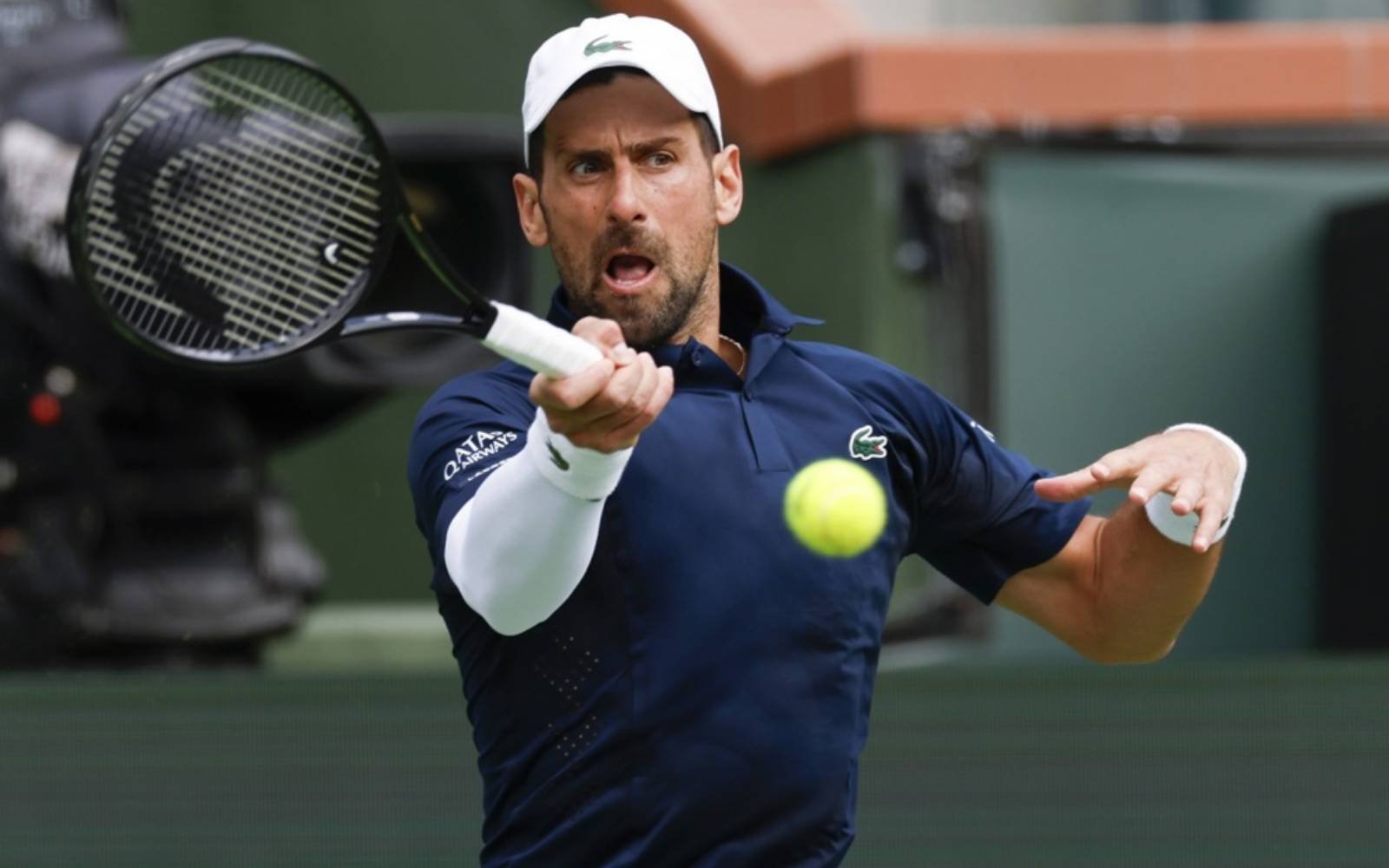 Djokovic reaches Indian Wells last 16, Pegula fights back to progress
