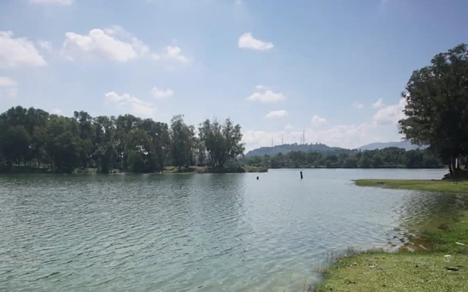 Body of man with ‘Ship Floss’ tattoo found in lake