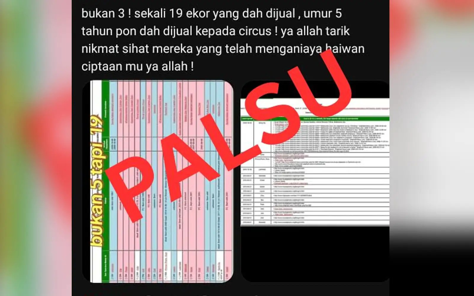 Perhilitan denies selling 19 elephants, says they were transferred on loan