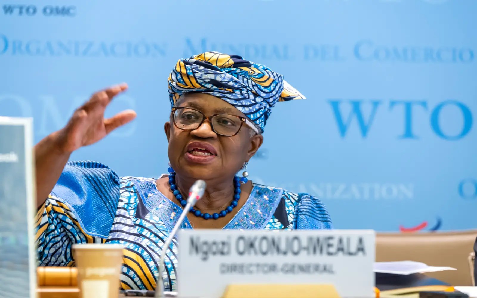 WTO Yaounde meet ends in failure with no significant deals